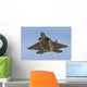 Us Air Force F-22 Underneath Wall Decal