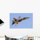 Cf-188 Hornet Royal Canadian Tiger Pattern Wall Decal