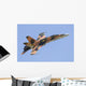 Cf-188 Hornet Royal Canadian Tiger Pattern Wall Decal