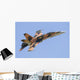 Cf-188 Hornet Royal Canadian Tiger Pattern Wall Decal