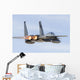 Us Air Force F-15c Back Right Wall Decal