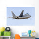 Us Air Force F-22a Back Wall Decal
