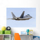 Us Air Force F-22a Back Wall Decal