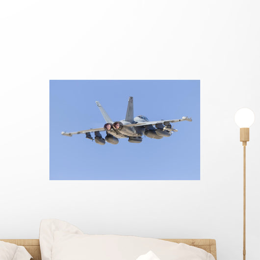 Us Navy E A-18g Back Wall Decal