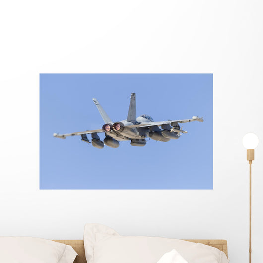Us Navy E A-18g Back Wall Decal