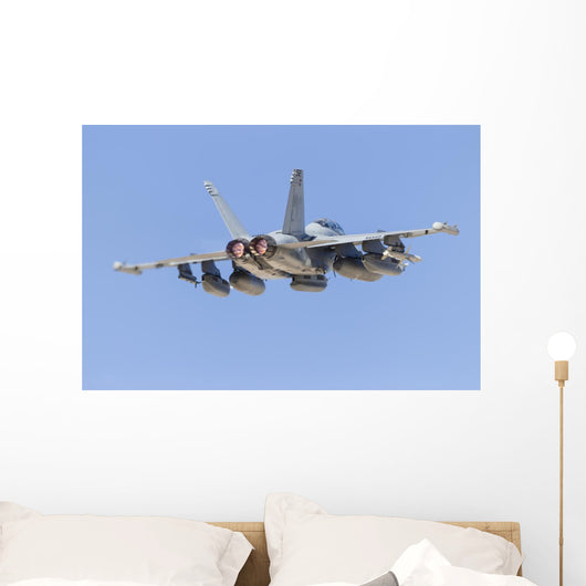 Us Navy E A-18g Back Wall Decal