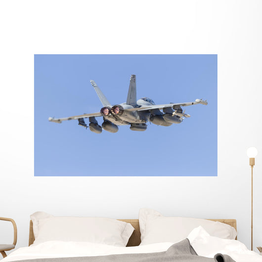 Us Navy E A-18g Back Wall Decal