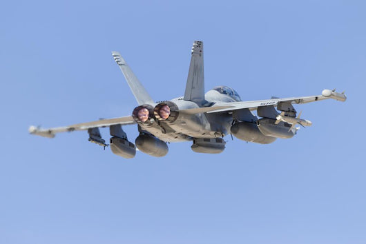 Us Navy E A-18g Back Wall Decal