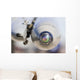 Close-up Seeker Head Asraam Wall Decal