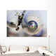 Close-up Seeker Head Asraam Wall Decal
