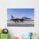 Aggressor F-16 Fighting Falcon Grounded Wall Decal