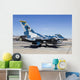 Aggressor F-16 Fighting Falcon Wall Decal