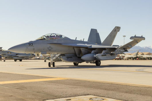 Us Navy E A-18g Grounded Left Wall Decal