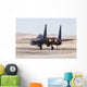 Us Air Force F-15e Back Wall Decal