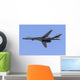 Us Air Force B-1b Sky Wall Decal