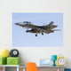 Royal Australian Air Force Fighter Wall Decal