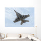 Us Navy E A-18g Underneath Wall Decal