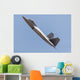 Us Air Force F-22a Wall Decal