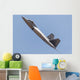 Us Air Force F-22a Wall Decal