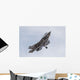 Us Marine Corps F-35b Taking Off Wall Decal