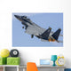 Us Air Force F-15e Wall Decal