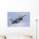 F-16c Pakistan Air Force Wall Decal