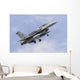 F-16c Pakistan Air Force Wall Decal