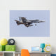 Spanish Air Force F Right Wall Decal