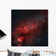 Constellation Cygnus with Multiple Wall Decal