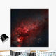 Constellation Cygnus with Multiple Wall Decal