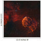 Jellyfish Nebula Wall Mural