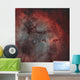 Ic 1396 Elephant Trunk Wall Decal