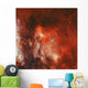 Pelican Nebula Wall Decal Design 2