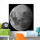 Three Quarter Moon Wall Decal
