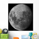 Three Quarter Moon Wall Decal