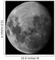 Three Quarter Moon Wall Decal