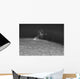 H-alpha Sun Prominence Wall Decal