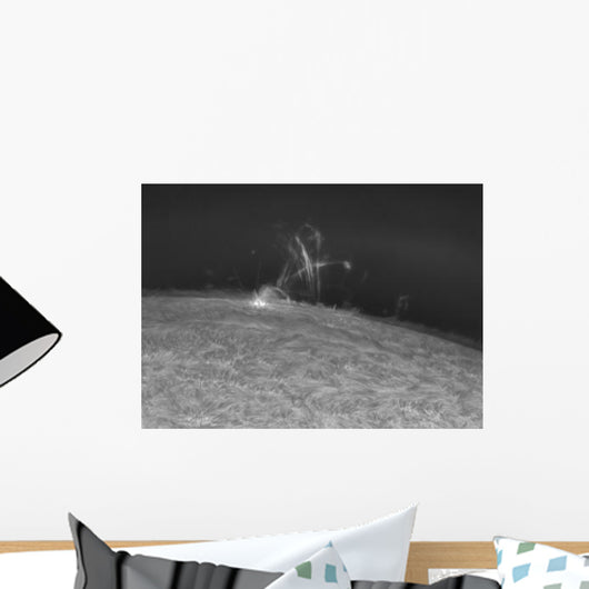 H-alpha Sun Prominence Wall Decal