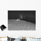 H-alpha Sun Prominence Wall Decal