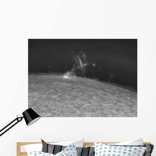 H-alpha Sun Prominence Wall Decal
