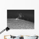 H-alpha Sun Prominence Wall Decal