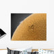 Yellow Sun with Solar Wall Decal