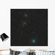 Comet Hartley 2 and Wall Decal