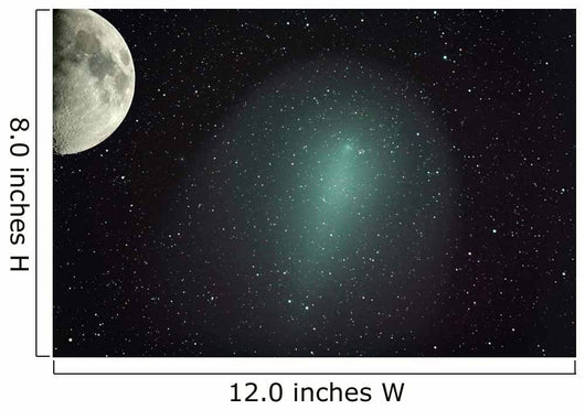 Size Comet Holmes Comparison Wall Decal