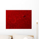 H-alpha Sun Red with Wall Decal
