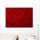H-alpha Sun Red with Wall Decal