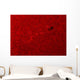 H-alpha Sun Red with Wall Decal