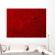 H-alpha Sun Red with Wall Decal