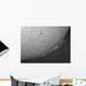 H-alpha Sun with Solar Wall Decal