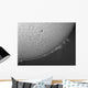 H-alpha Sun with Solar Wall Decal